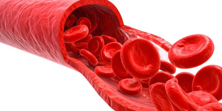 artistic rendering of red blood cells flowing through a vein on a white background