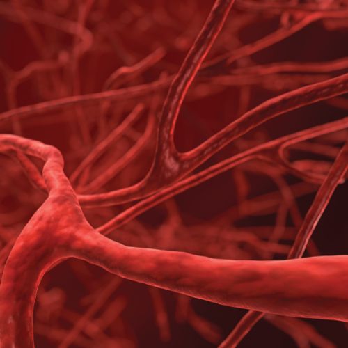 artistic rendering of red veins within the body