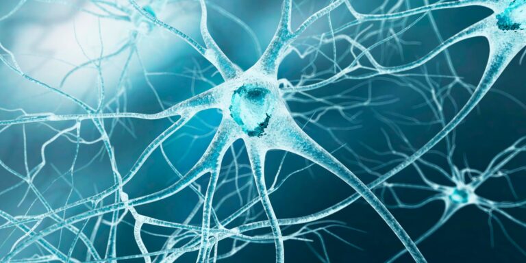 artistic rendering of nerve cells