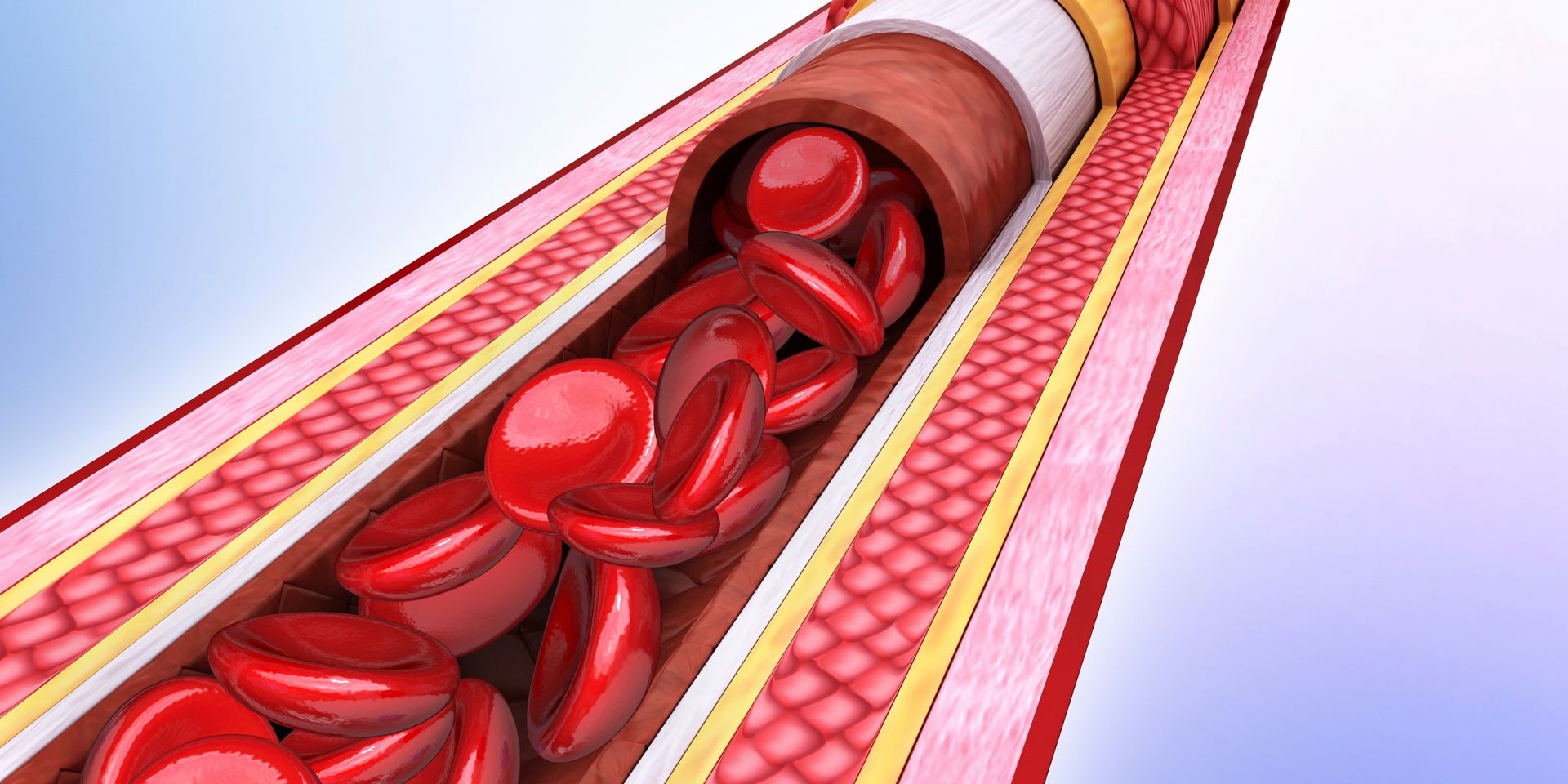 artistic rendering of red blood cells moving through an artery